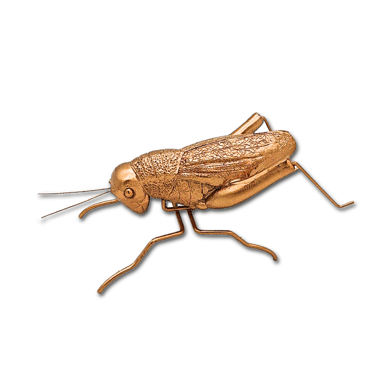 金色树脂甲虫雕塑昆虫雕像，用于家庭和桌面装饰